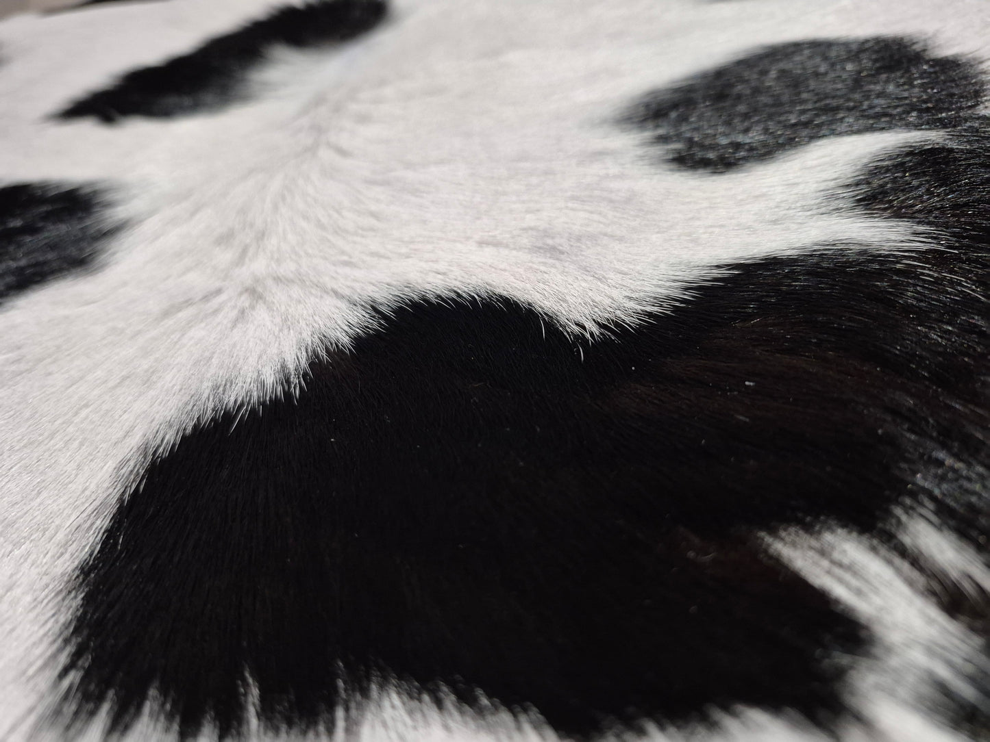 Calfskin rug 38'' x 32" (V#11)