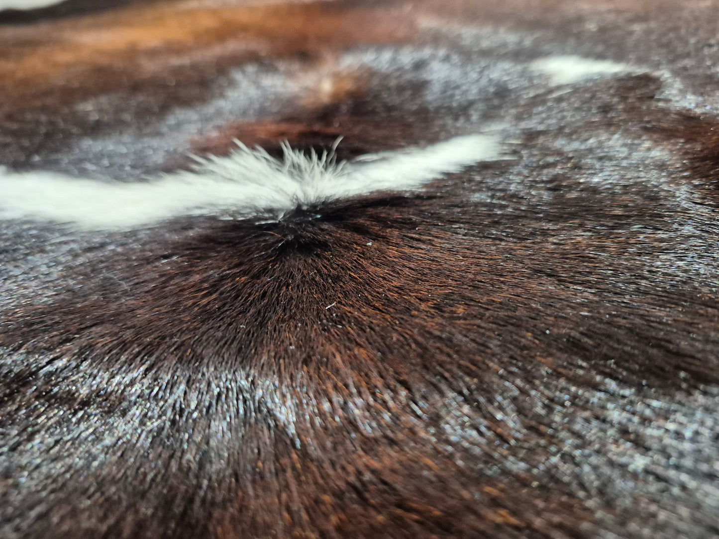 Calfskin rug 3'5" x 3'1" (V#52)