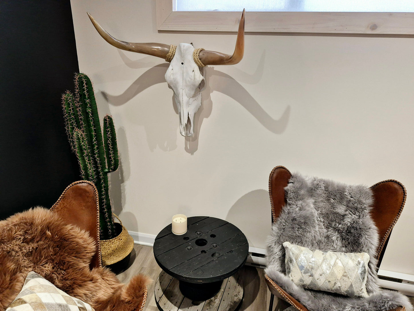Crâne de boeuf Texas longhorn (1'8'') A#28