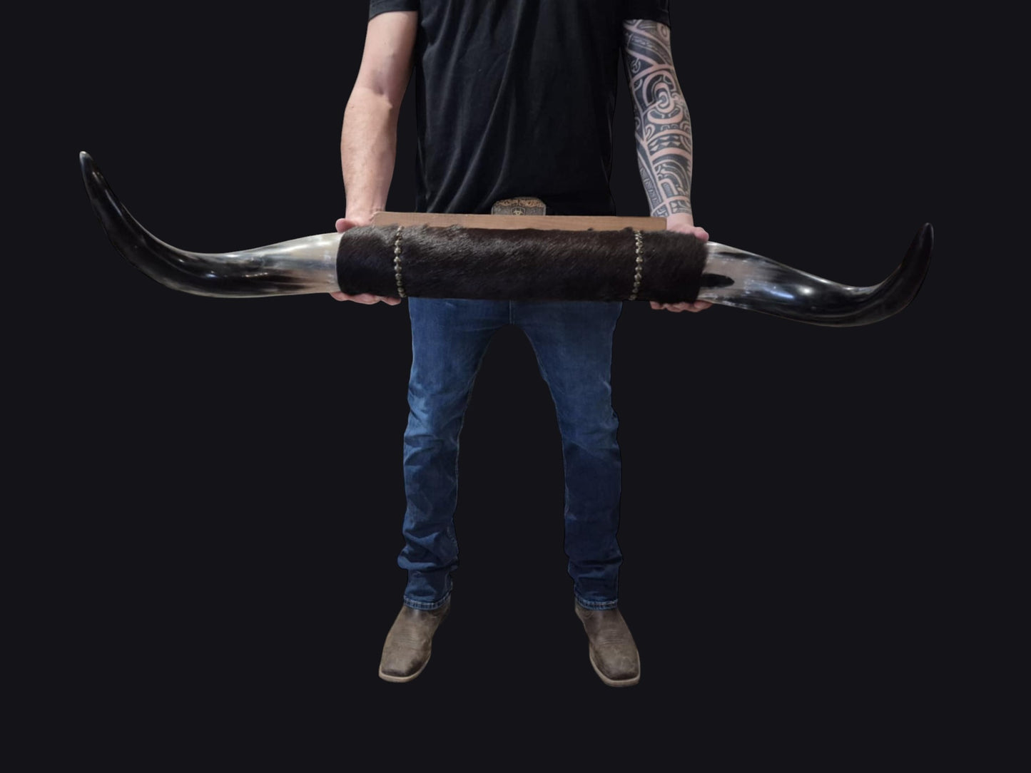 Mounted Horns - Texas Longhorn (3'1") C#53