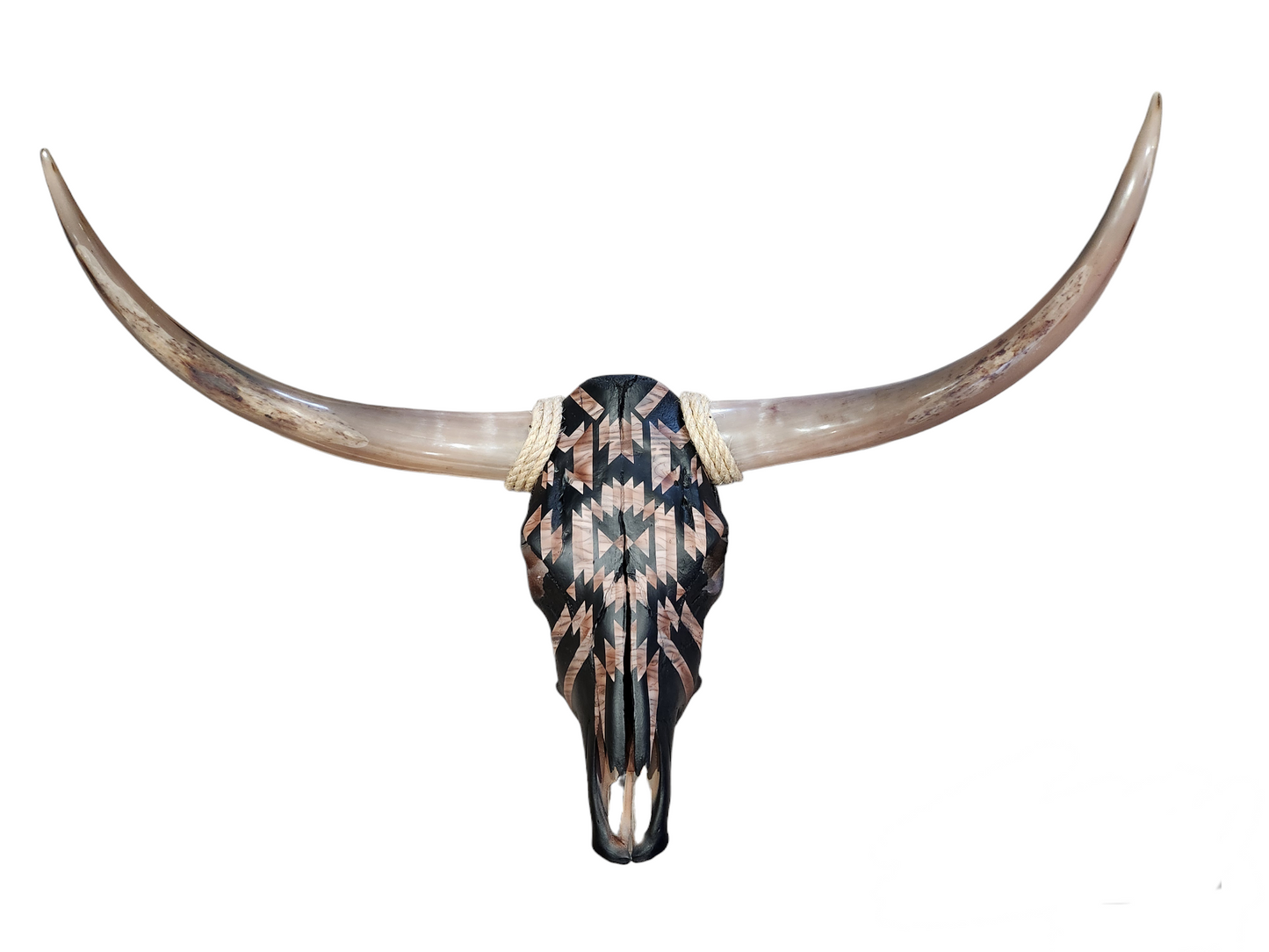 Black Southwestern Texas Longhorn (3'1")