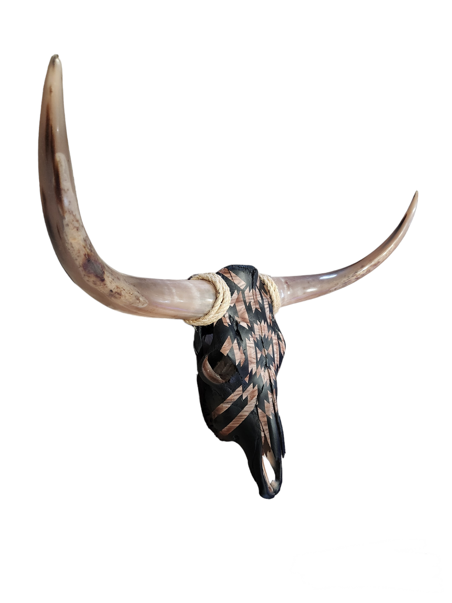 Black Southwestern Texas Longhorn (3'1")