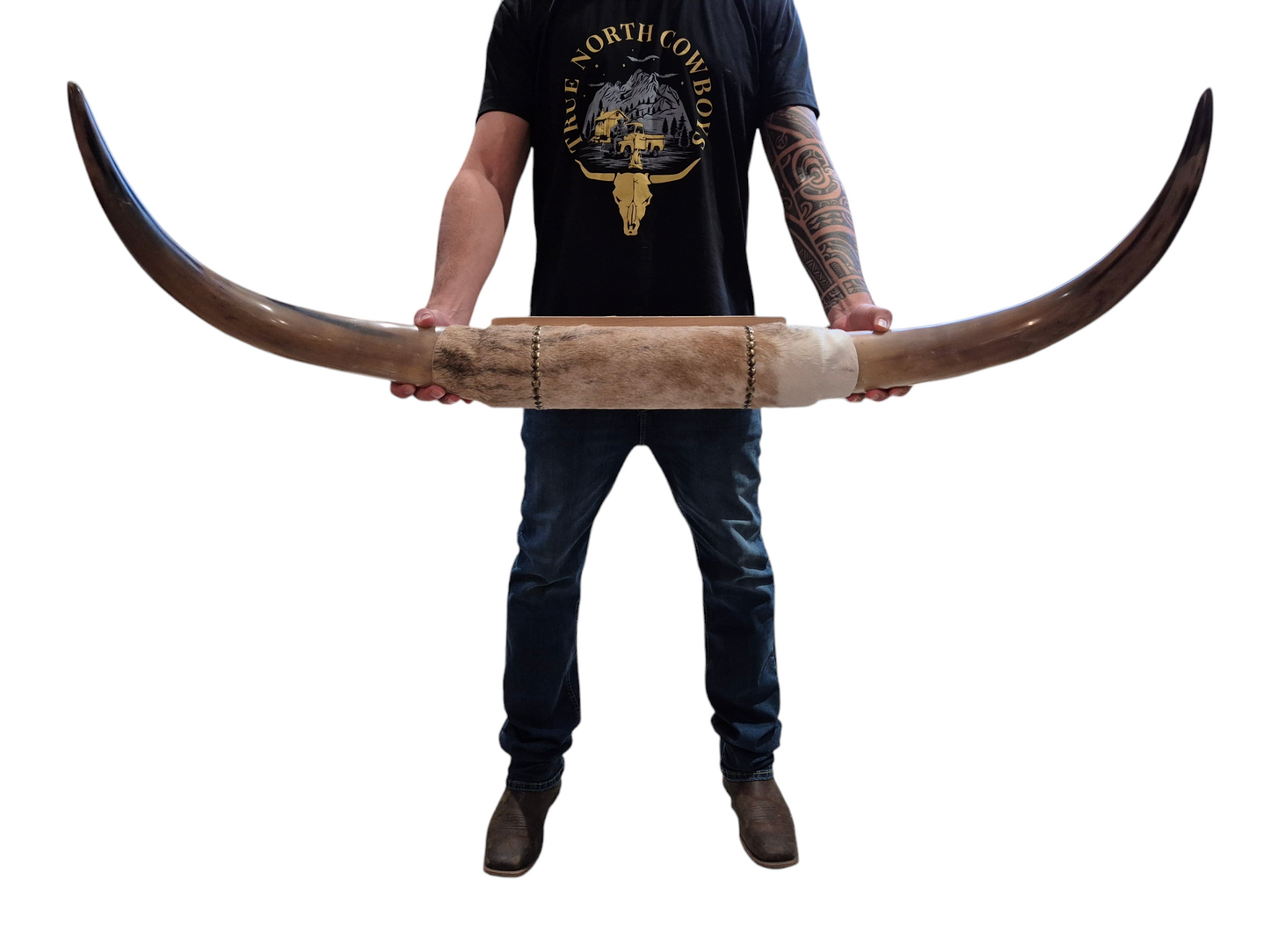 Mounted Horns - Texas Longhorn (3'10") C#30
