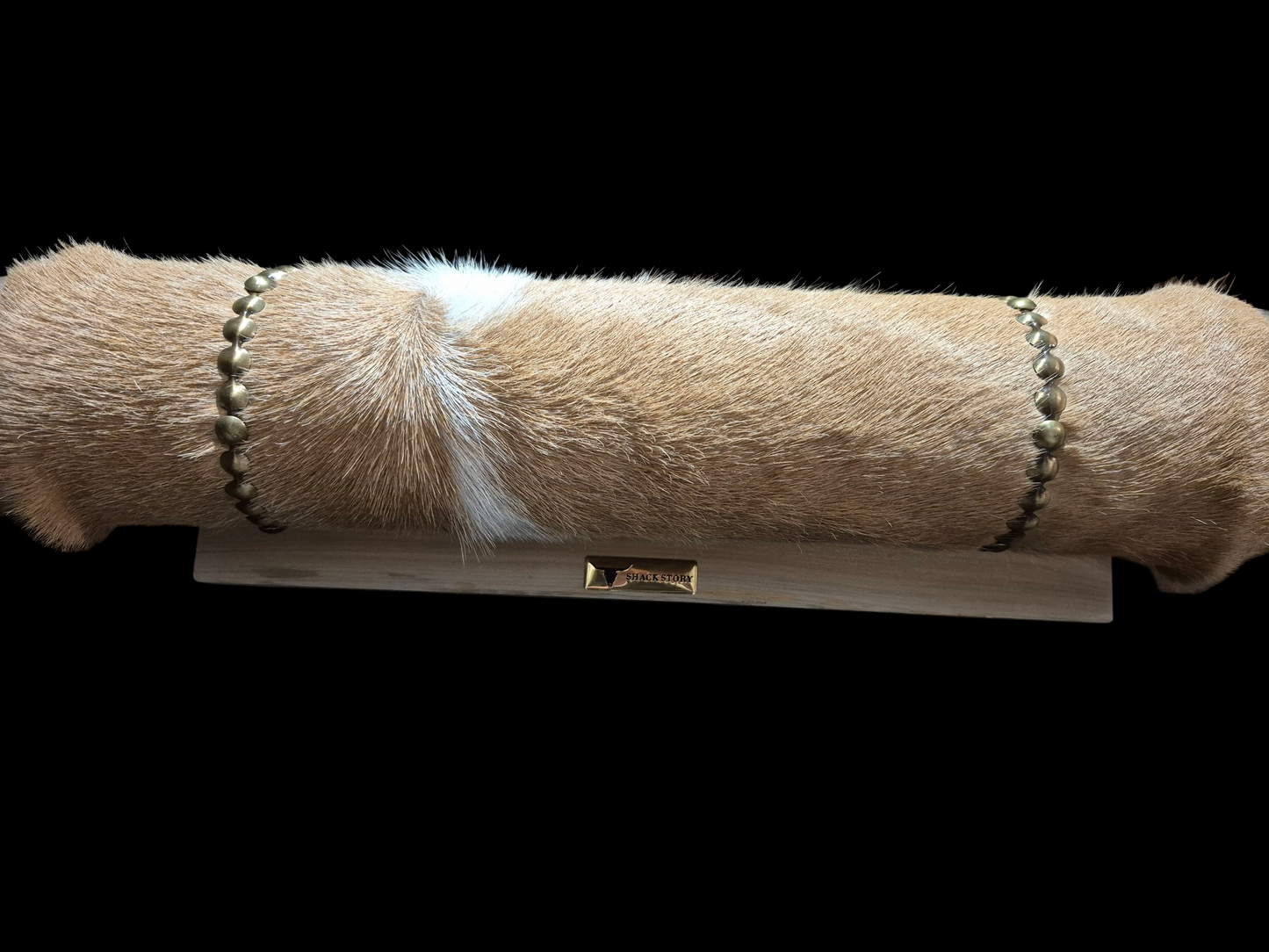 Mounted Horns - Texas Longhorn (4'8") C#5