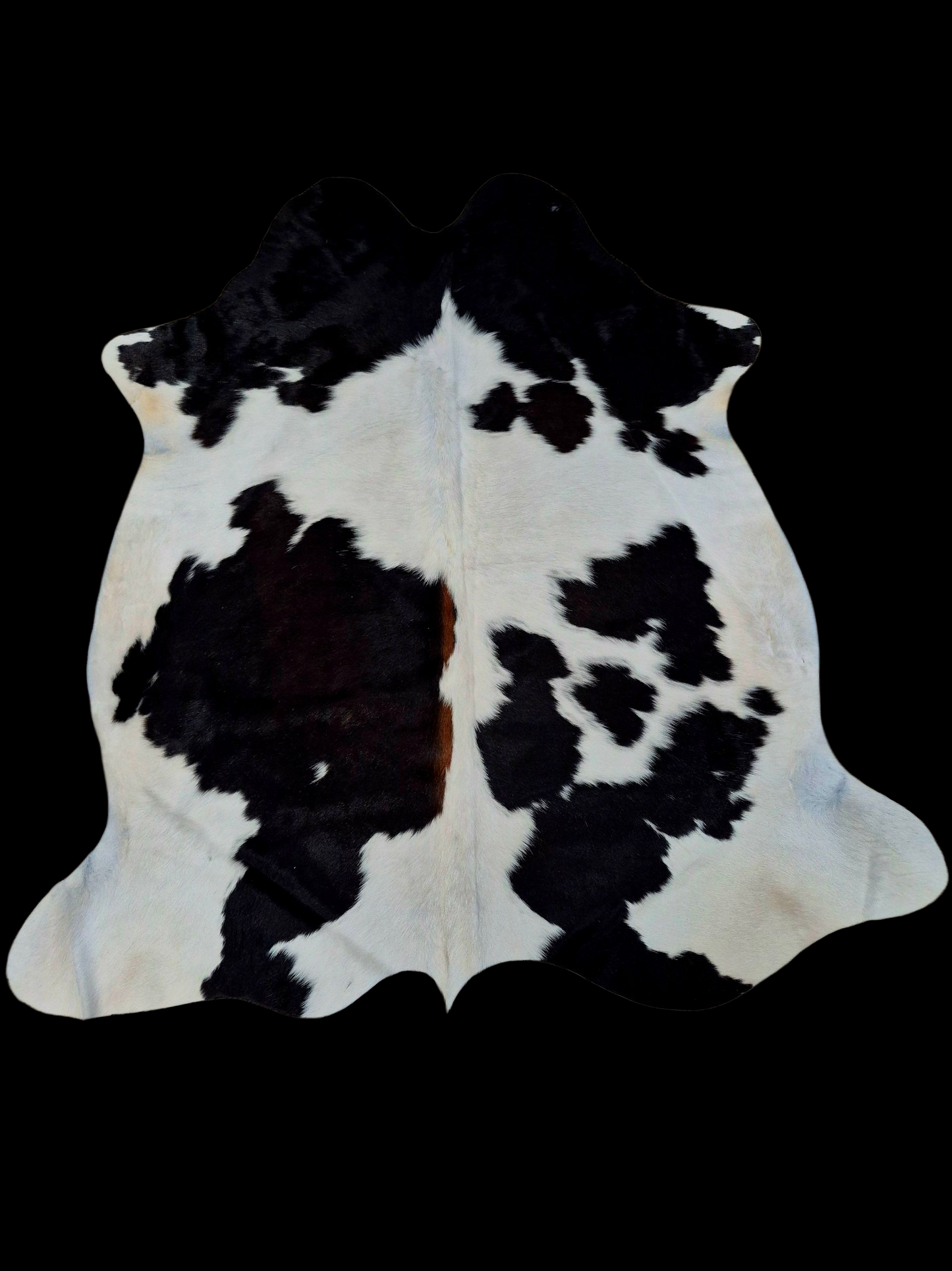 Cowhide rug 7'7" x 6'9" (R#101)