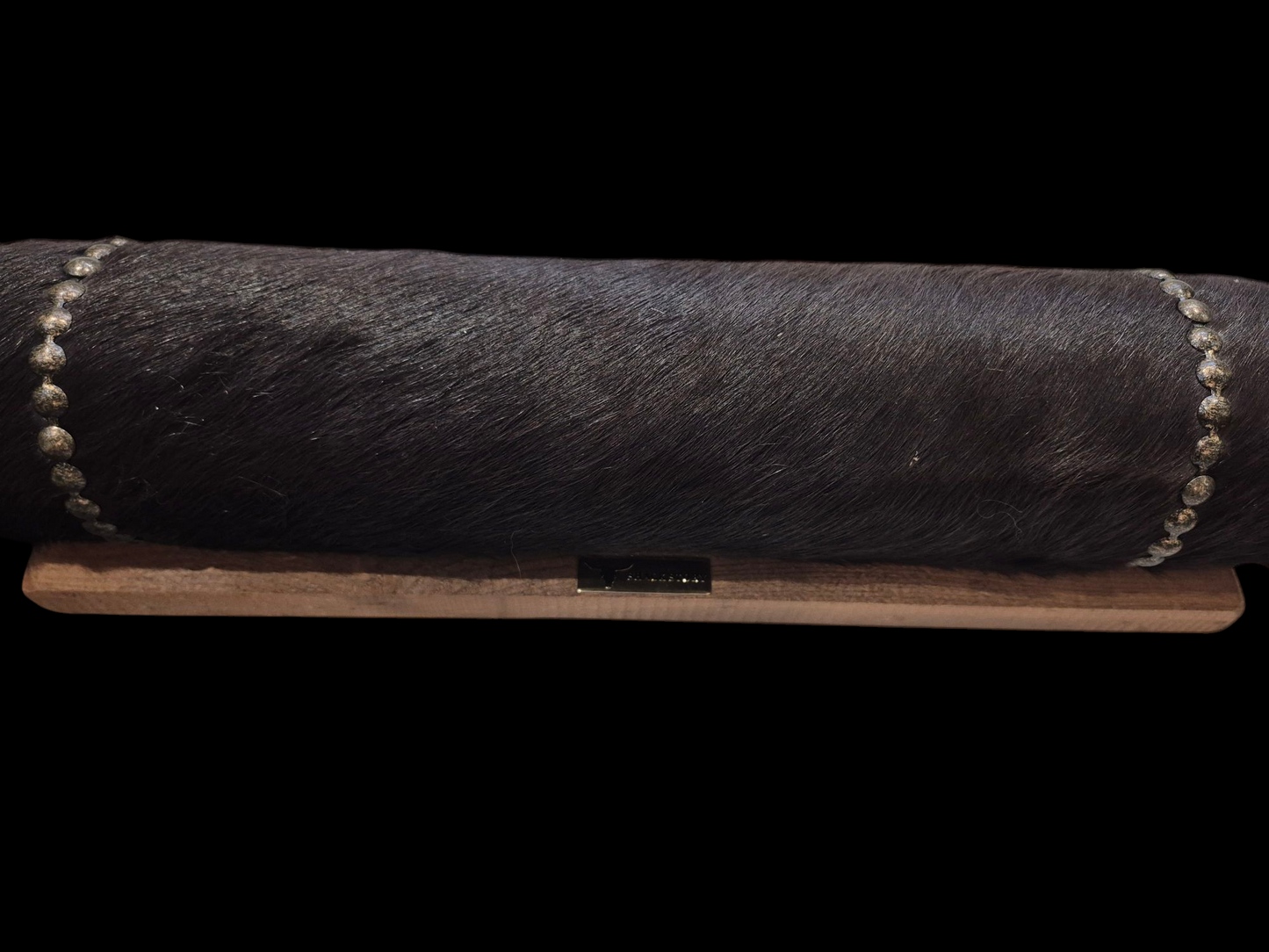 Mounted Horns - Texas Longhorn (3'1") C#53