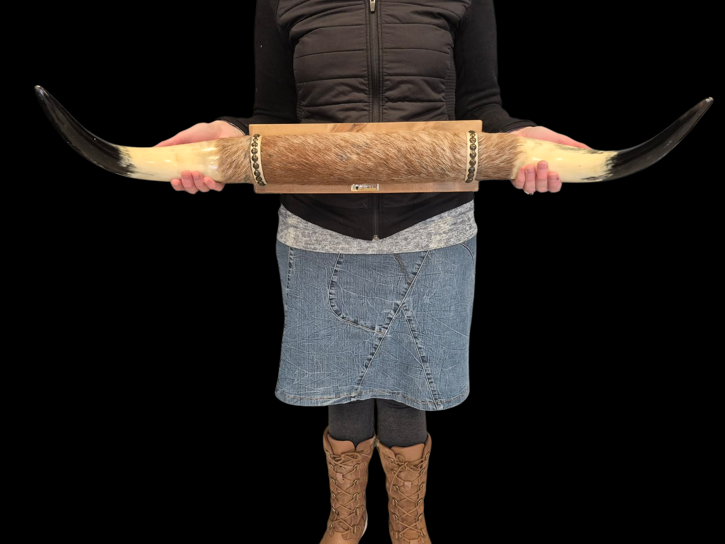 Mounted Horns - Texas Longhorn (3'1") C#61