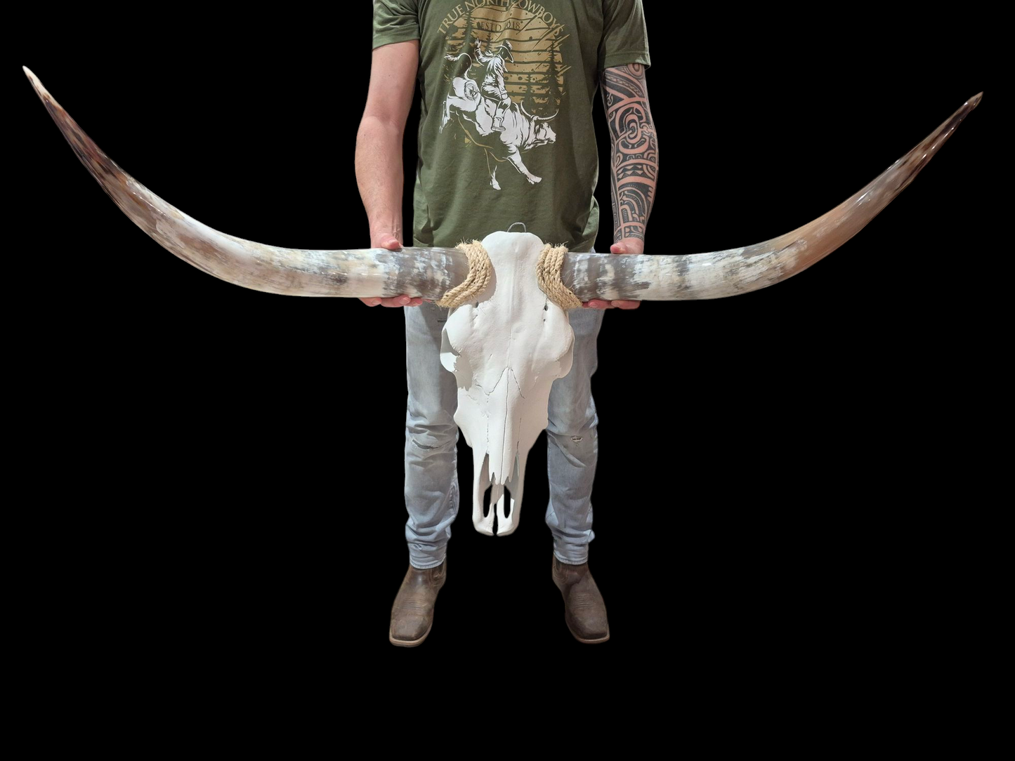 Cow Skull Texas Longhorn (4') A#85
