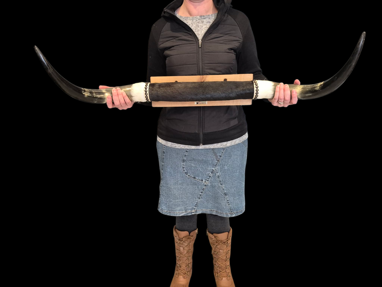 Mounted Horns - Texas Longhorn (3'4") C#24
