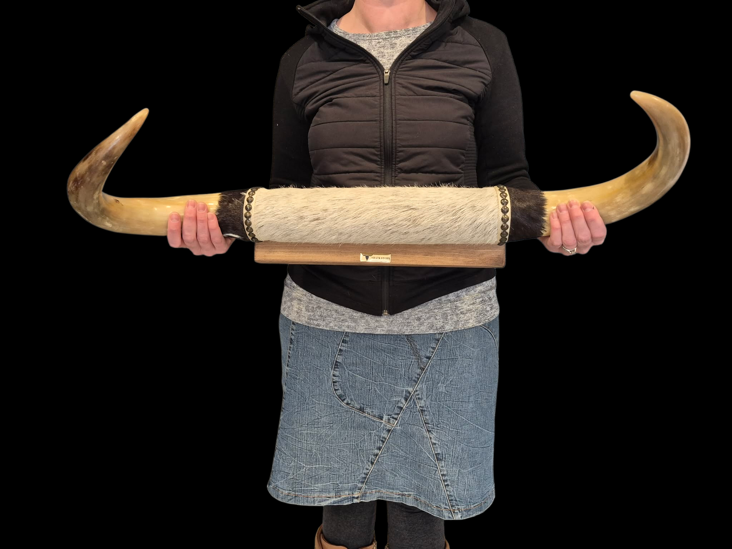 Mounted Horns - Texas Longhorn (2'4") C#55