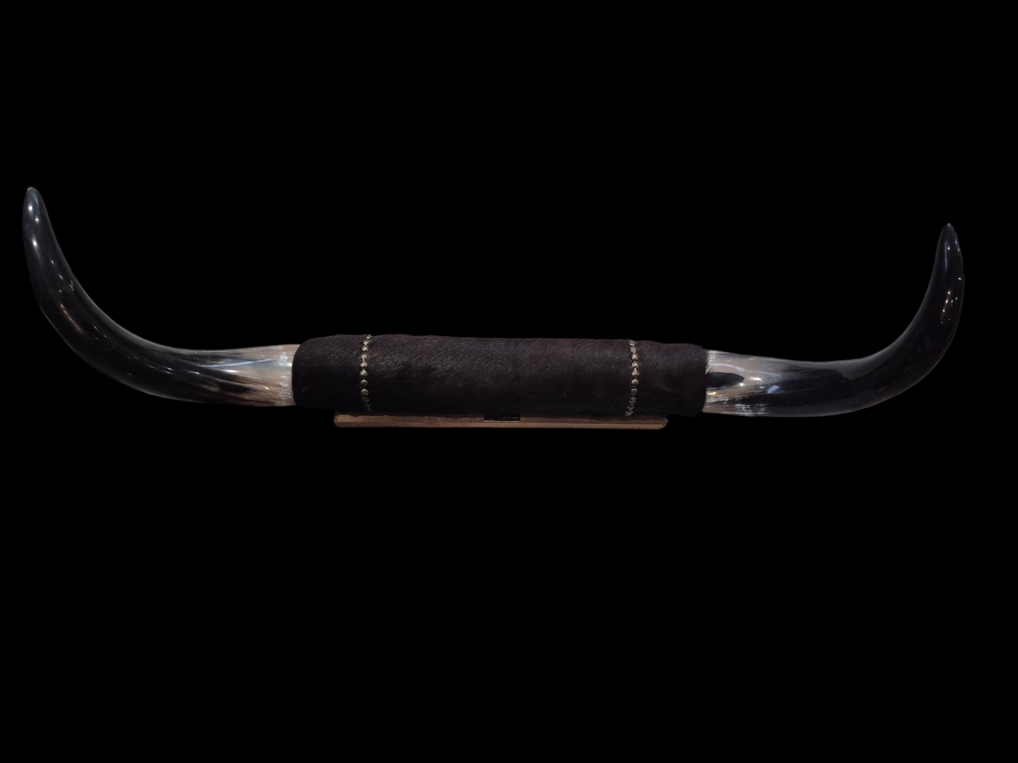 Mounted Horns - Texas Longhorn (3'1") C#53