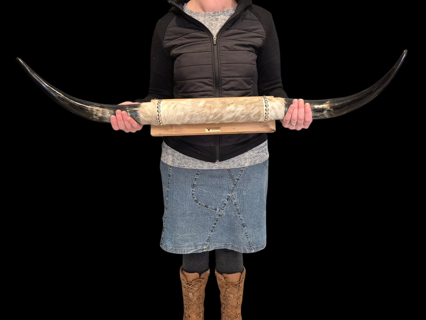 Mounted Horns - Texas Longhorn (3'2") C#59