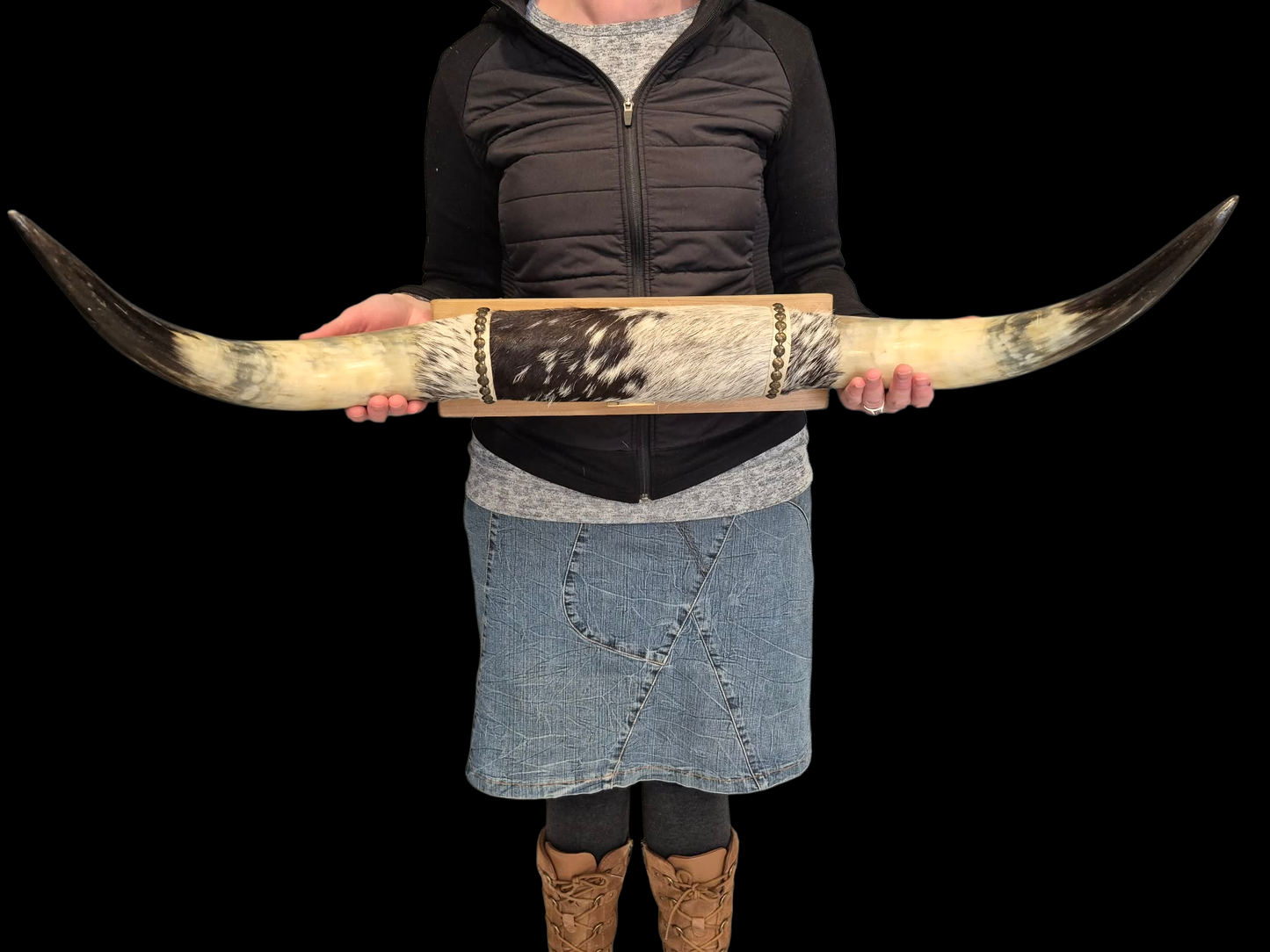 Mounted Horns - Texas Longhorn (2'8") C#60