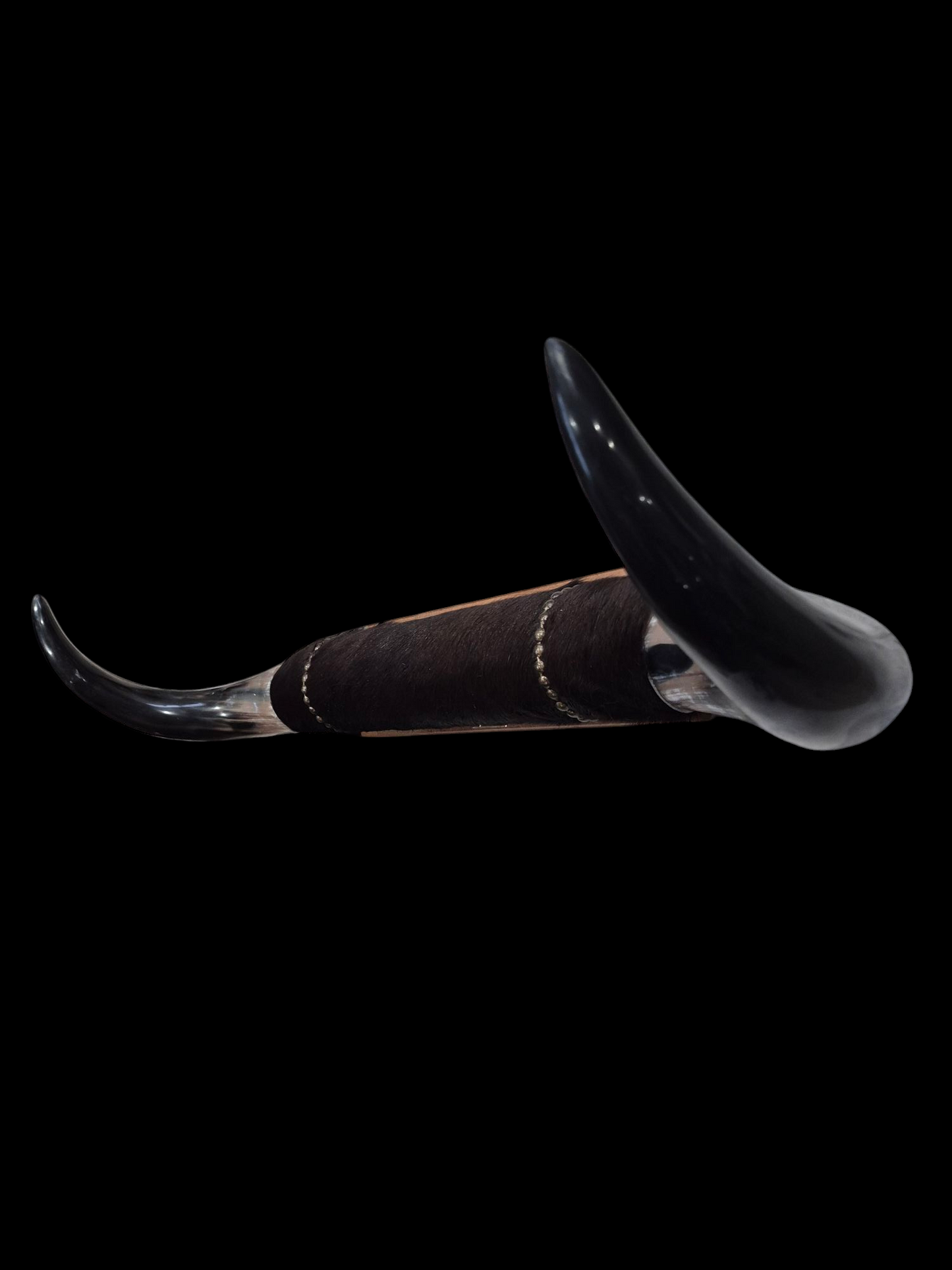 Mounted Horns - Texas Longhorn (3'1") C#53