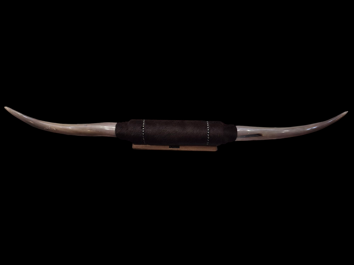 Mounted Horns - Texas Longhorn (4'3") C#47