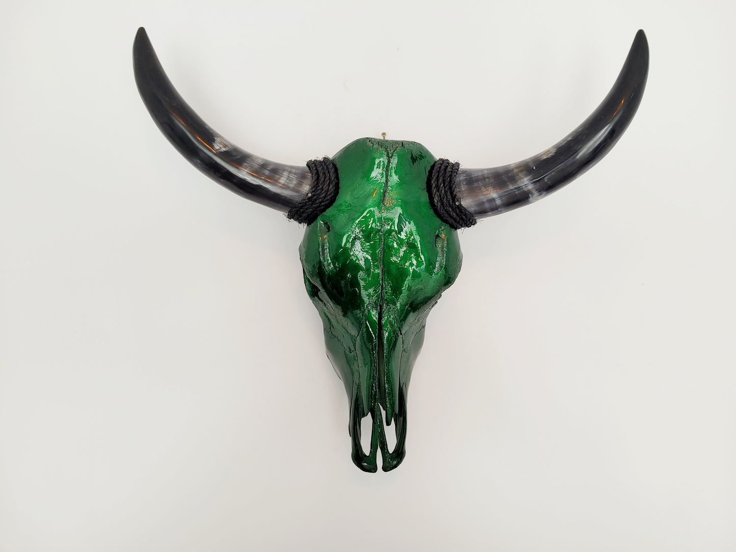 Cow Skull Texas Longhorn - Candy Green Apple (2')