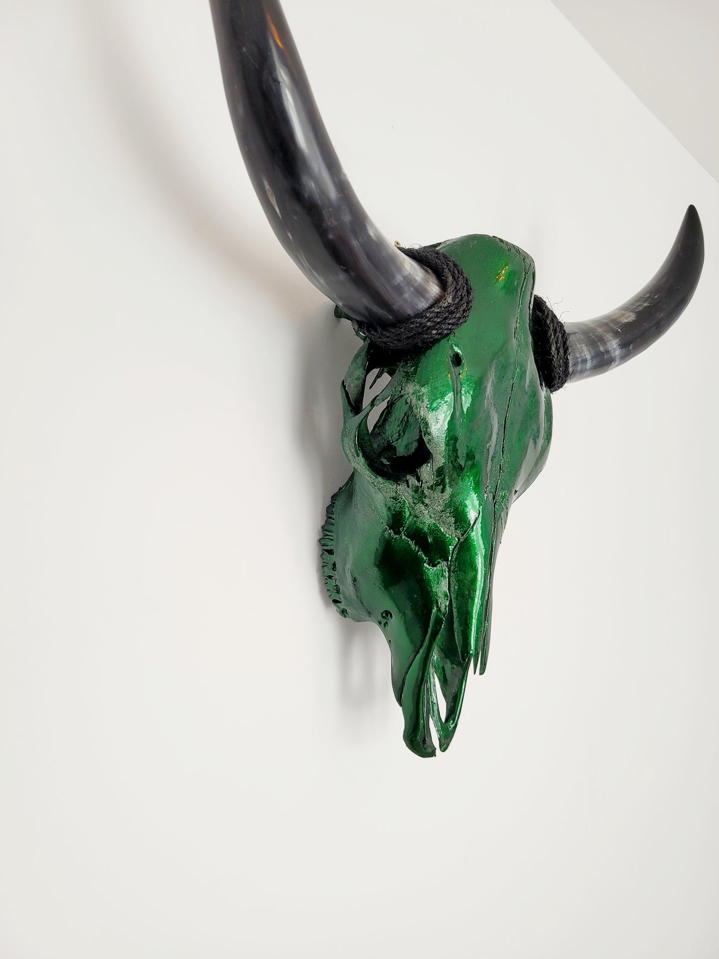 Cow Skull Texas Longhorn - Candy Green Apple (2')
