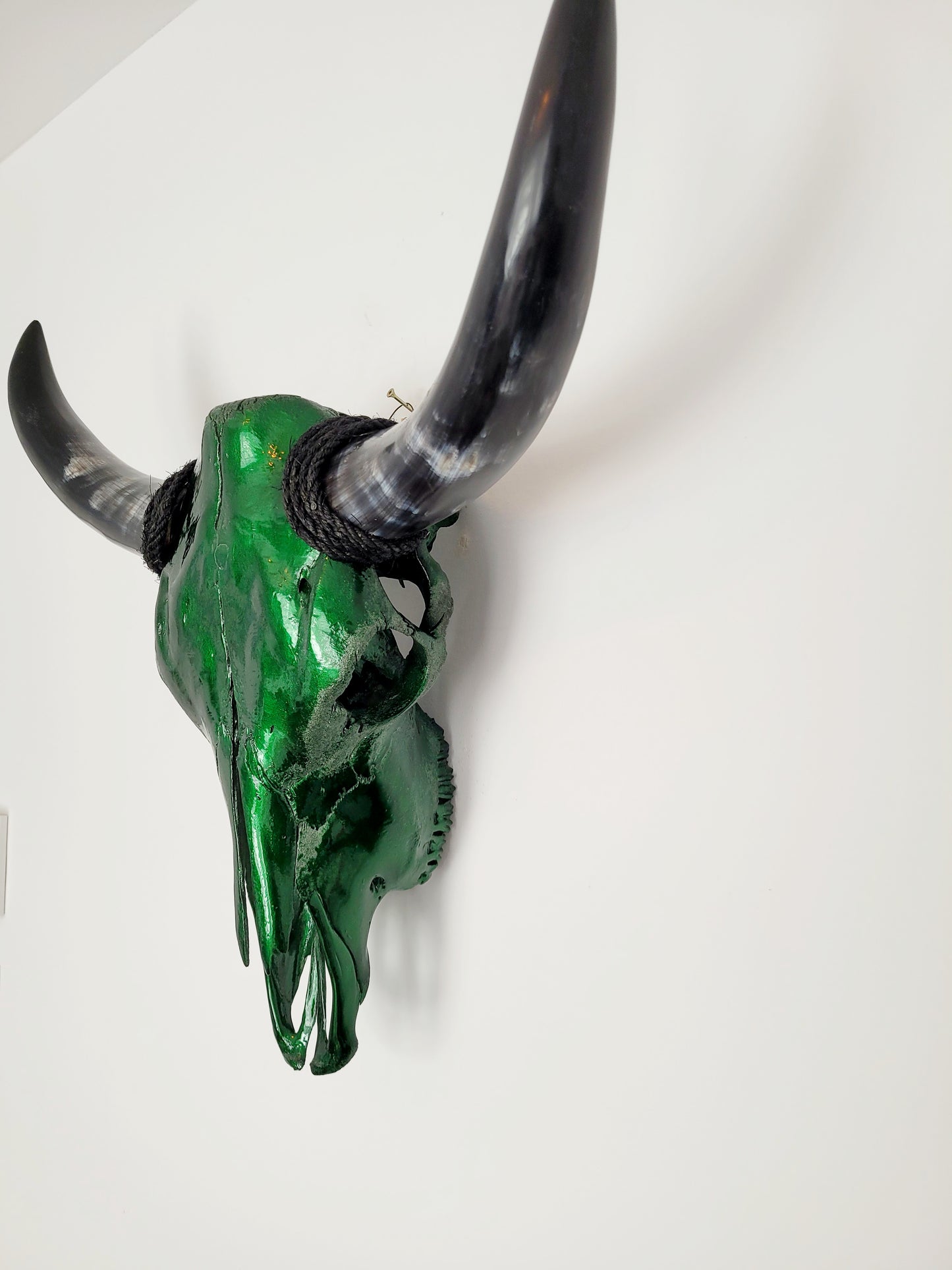 Cow Skull Texas Longhorn - Candy Green Apple (2')
