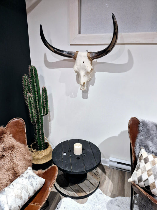 Cow Skull Texas Longhorn (2'7") A#79