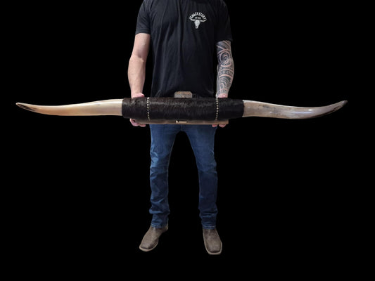 Mounted  Horns - Texas Longhorn (4') C#54