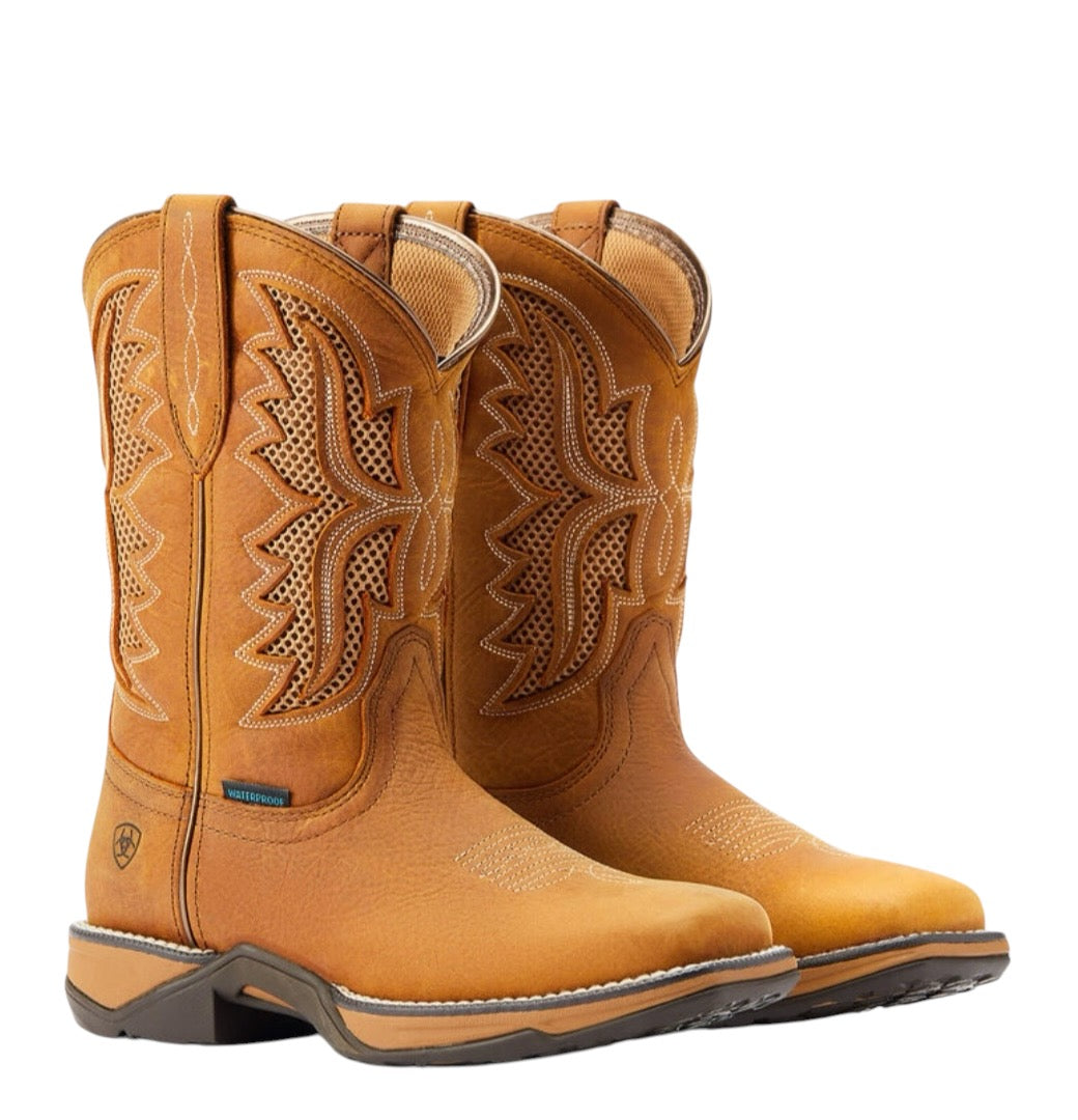 Ariat women Anthem VenTEK H2O