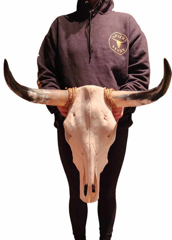 Cow Skull Texas Longhorn (1'8") A#28
