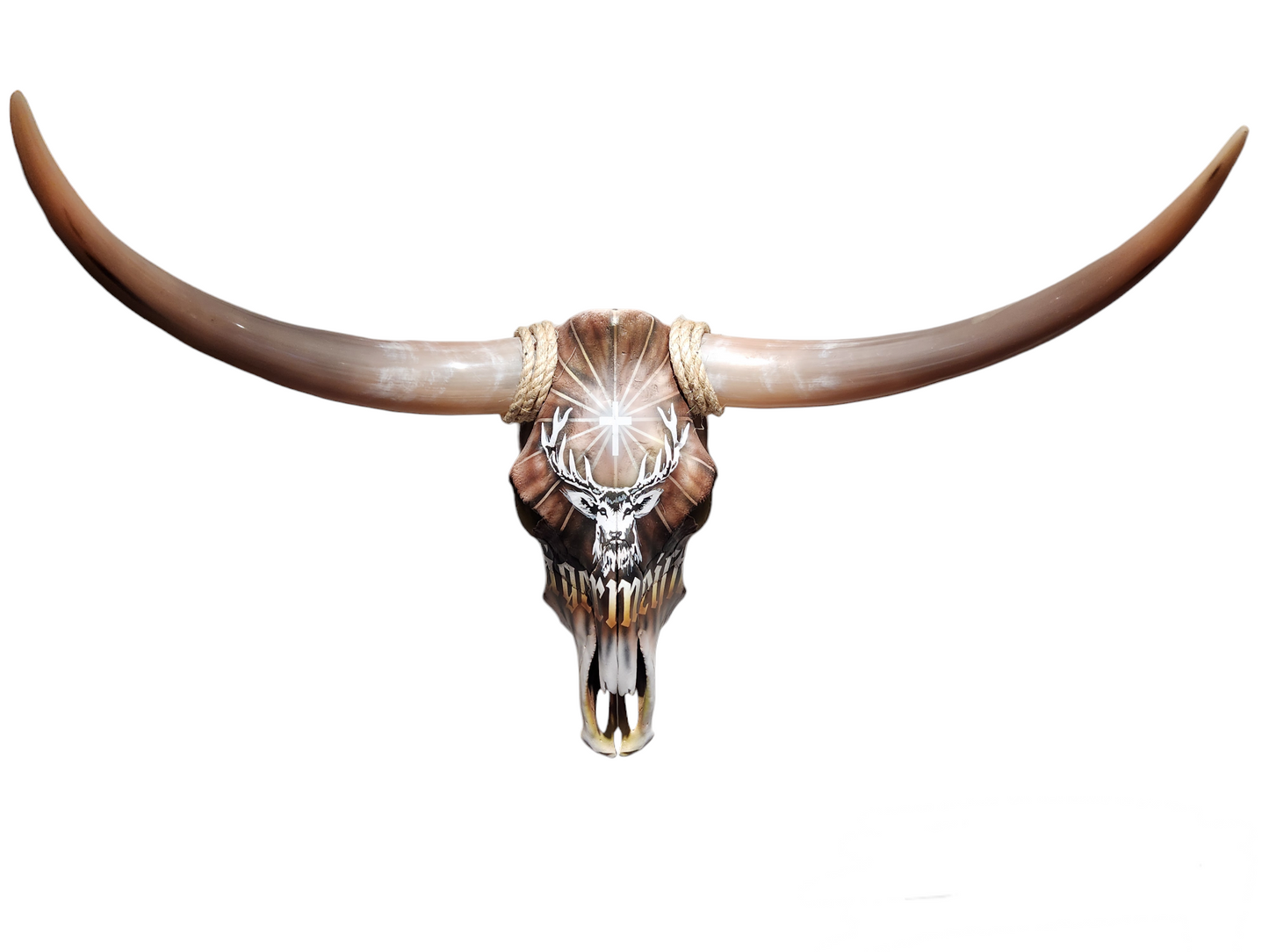 Jagermeister Texas Longhorn (2'9")