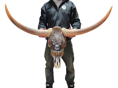 Jagermeister Texas Longhorn (2'9")