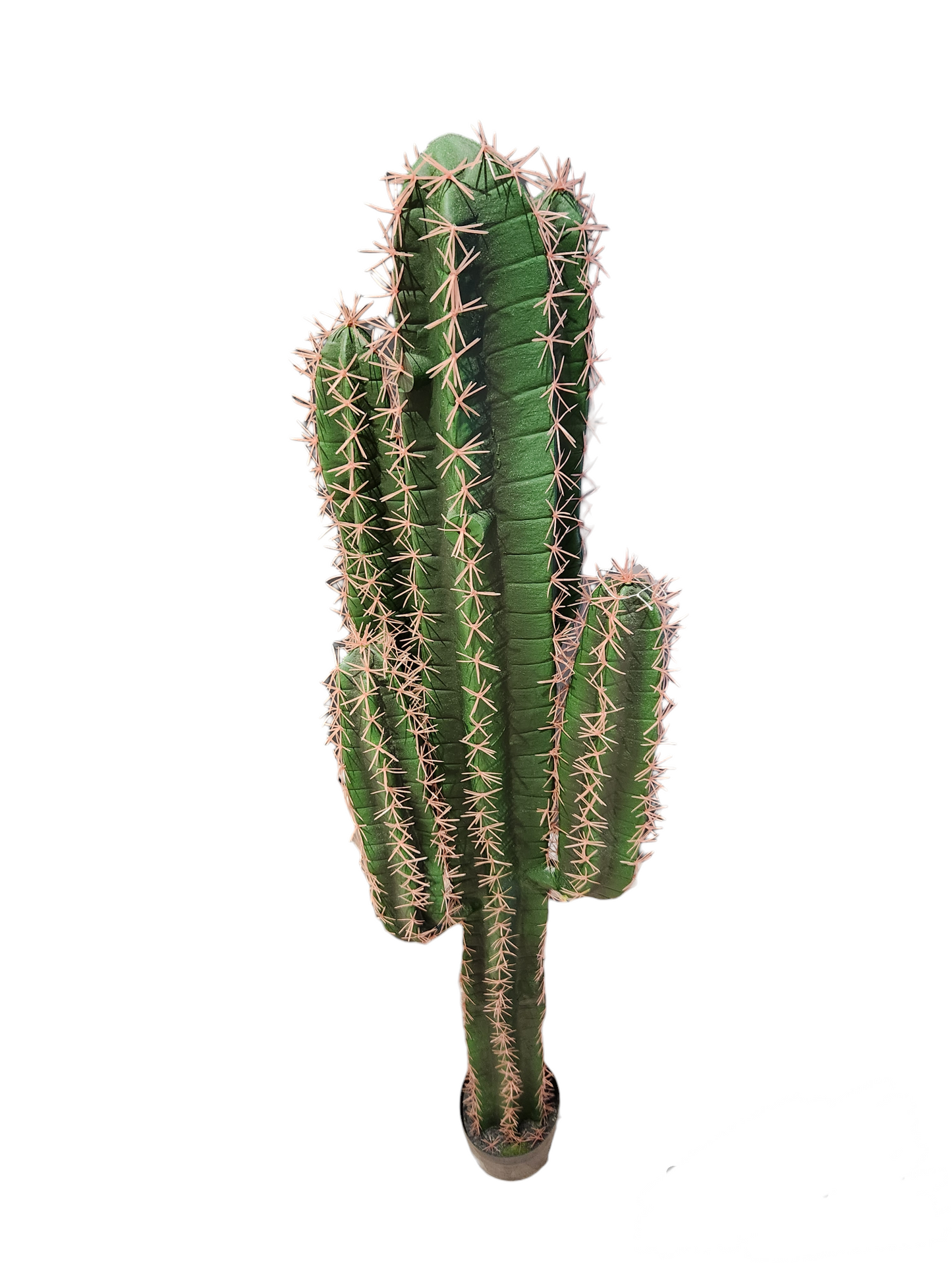 Cactus artificiel