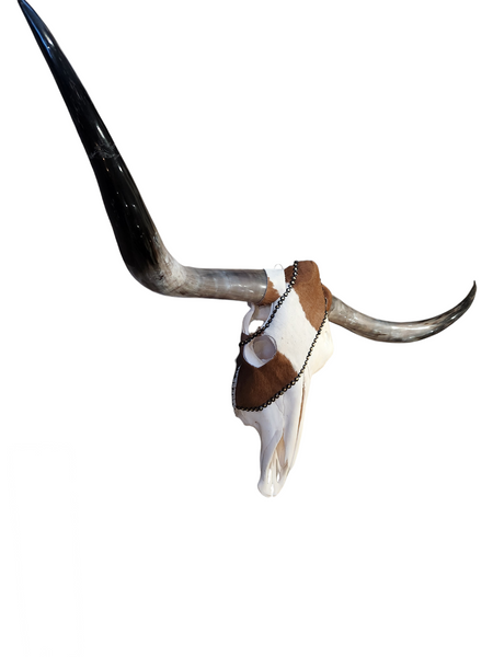 The Brown Hairy Chic Texas Longhorn (4'6")