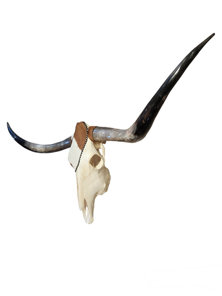 The Brown Hairy Chic Texas Longhorn (4'6")
