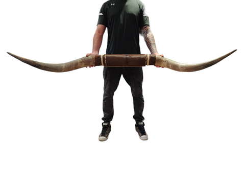 Mounted  Horns - Texas Longhorn (6') C#20