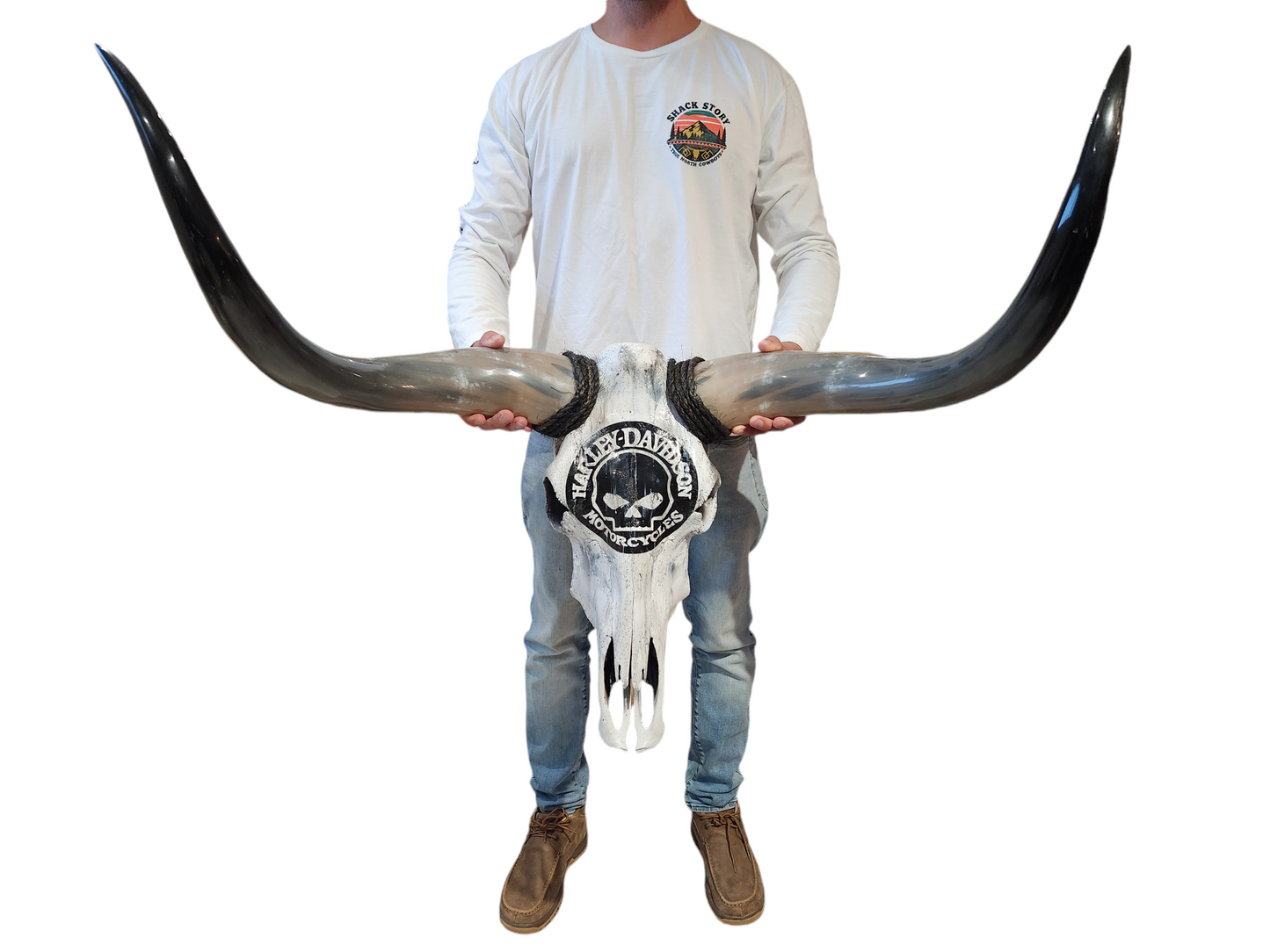 Harley Texas Longhorn (3'1")