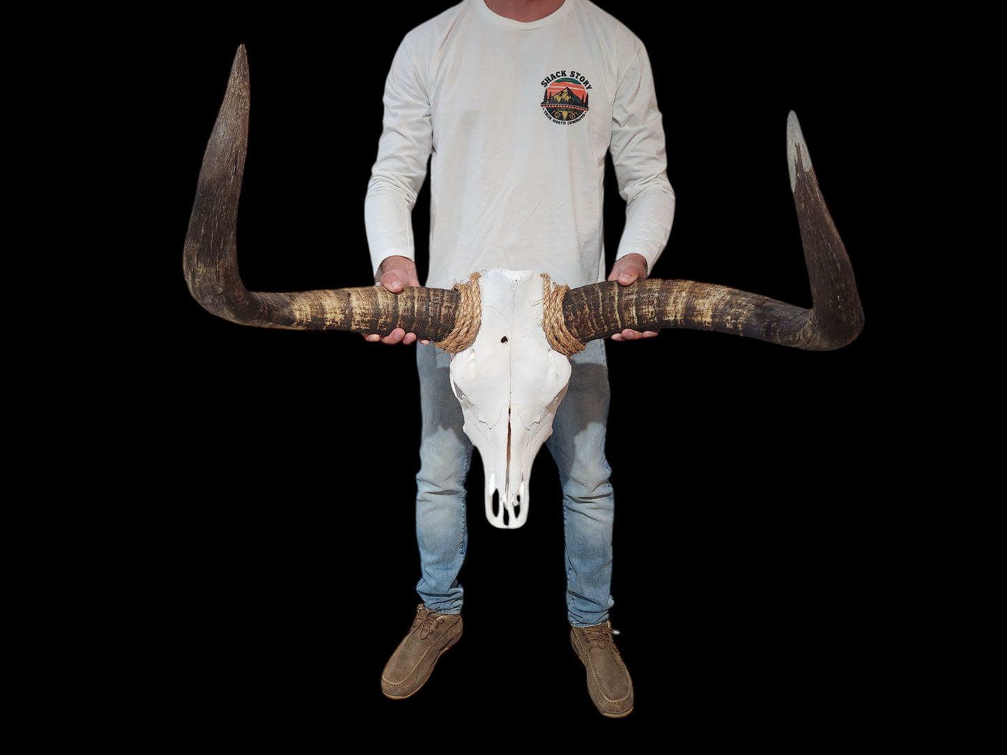 Cow Skull Texas Longhorn (2'9") A#45