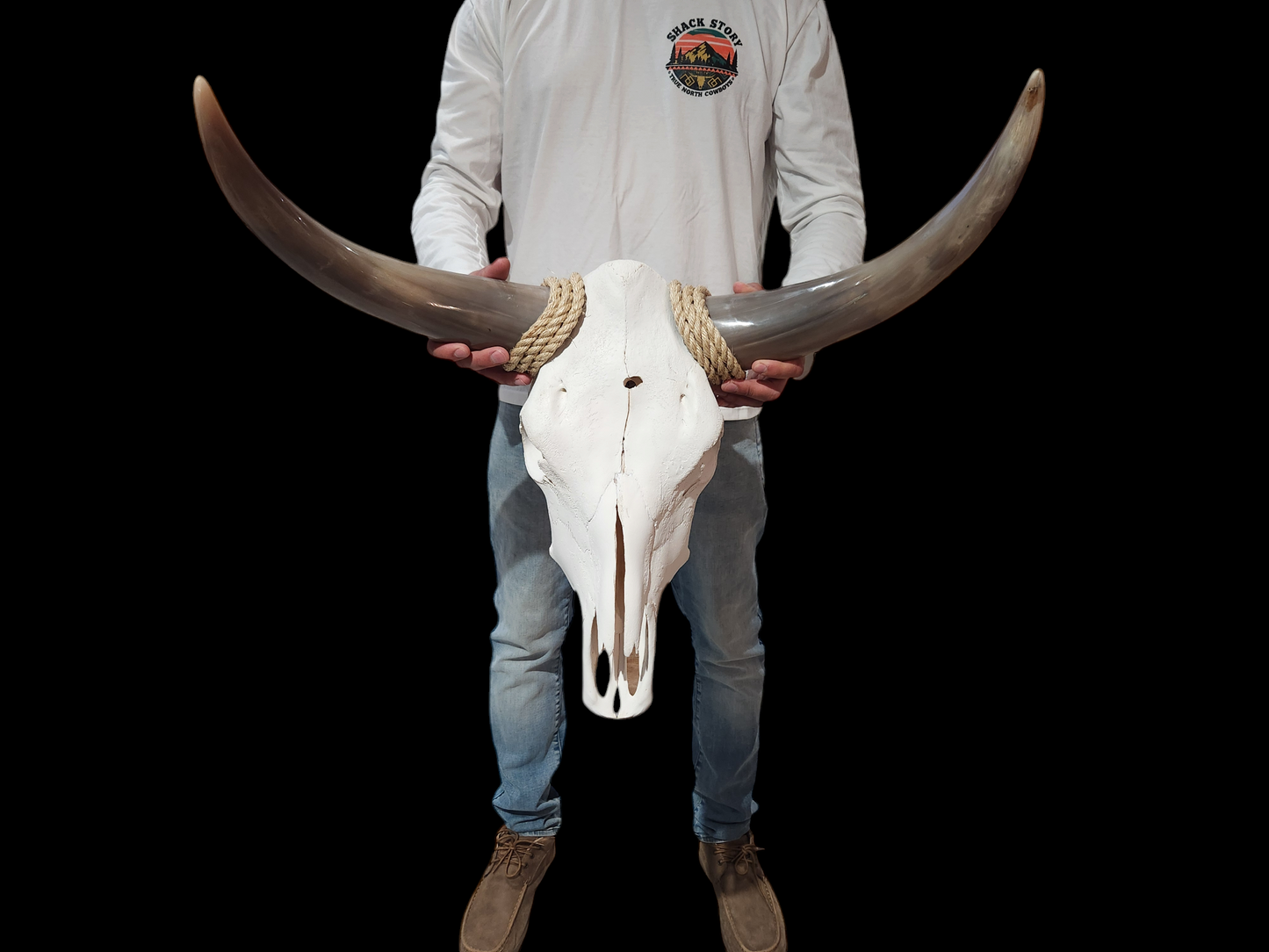 Cow Skull Texas Longhorn (2'1") A#31