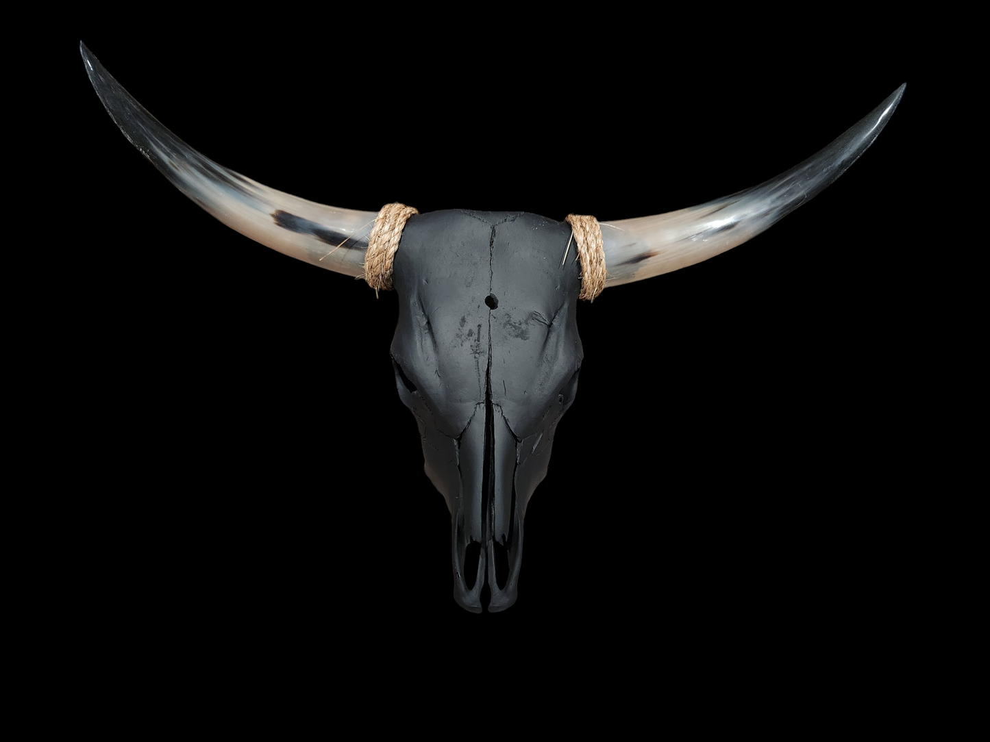 Cow Skull Texas Longhorn (3'2") A#60