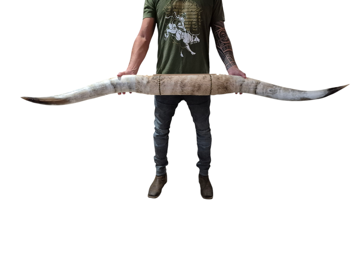 Mounted  Horns - Texas Longhorn (5'5") C#22