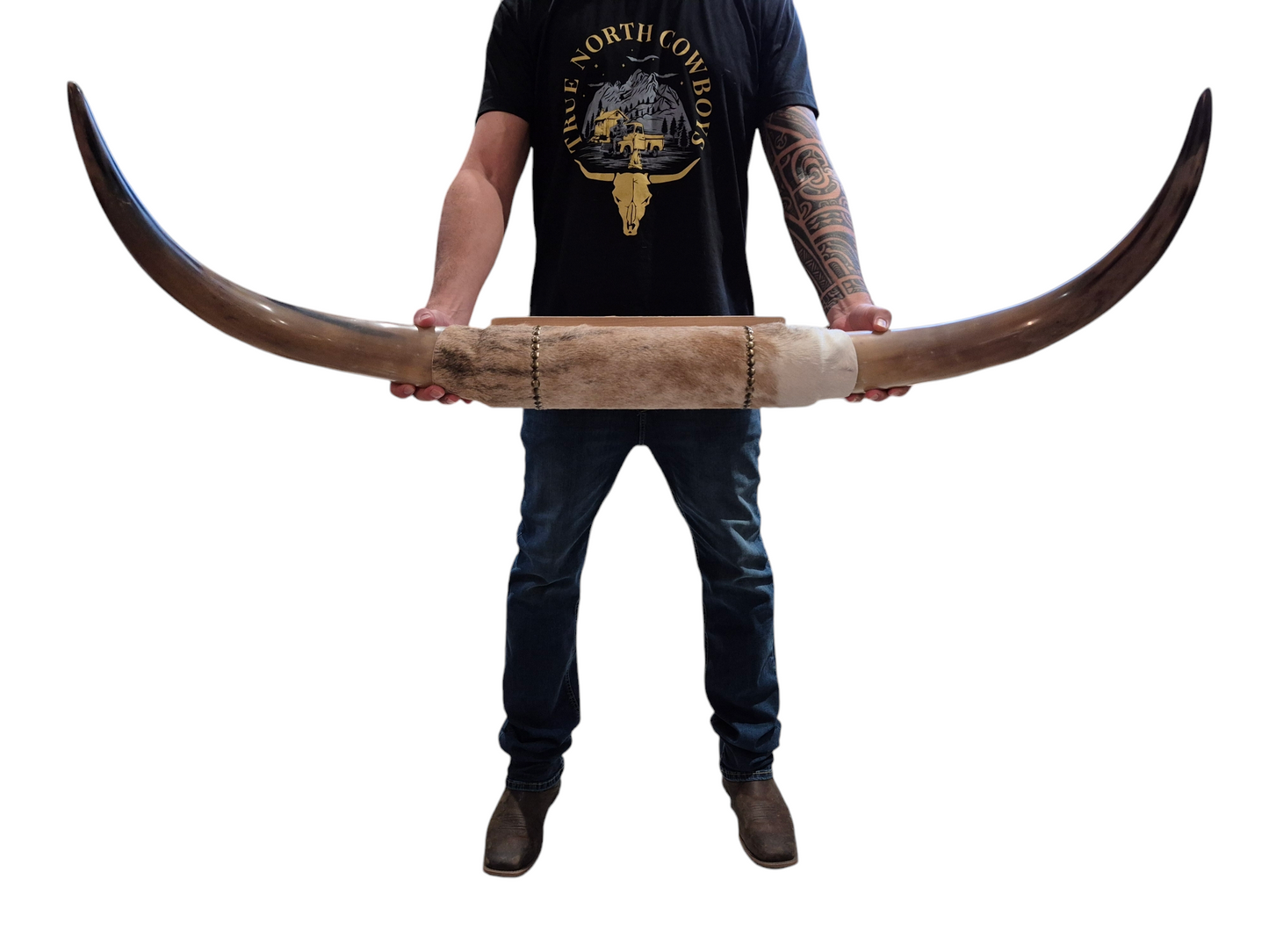 Mounted  Horns - Texas Longhorn (3'10") C#30