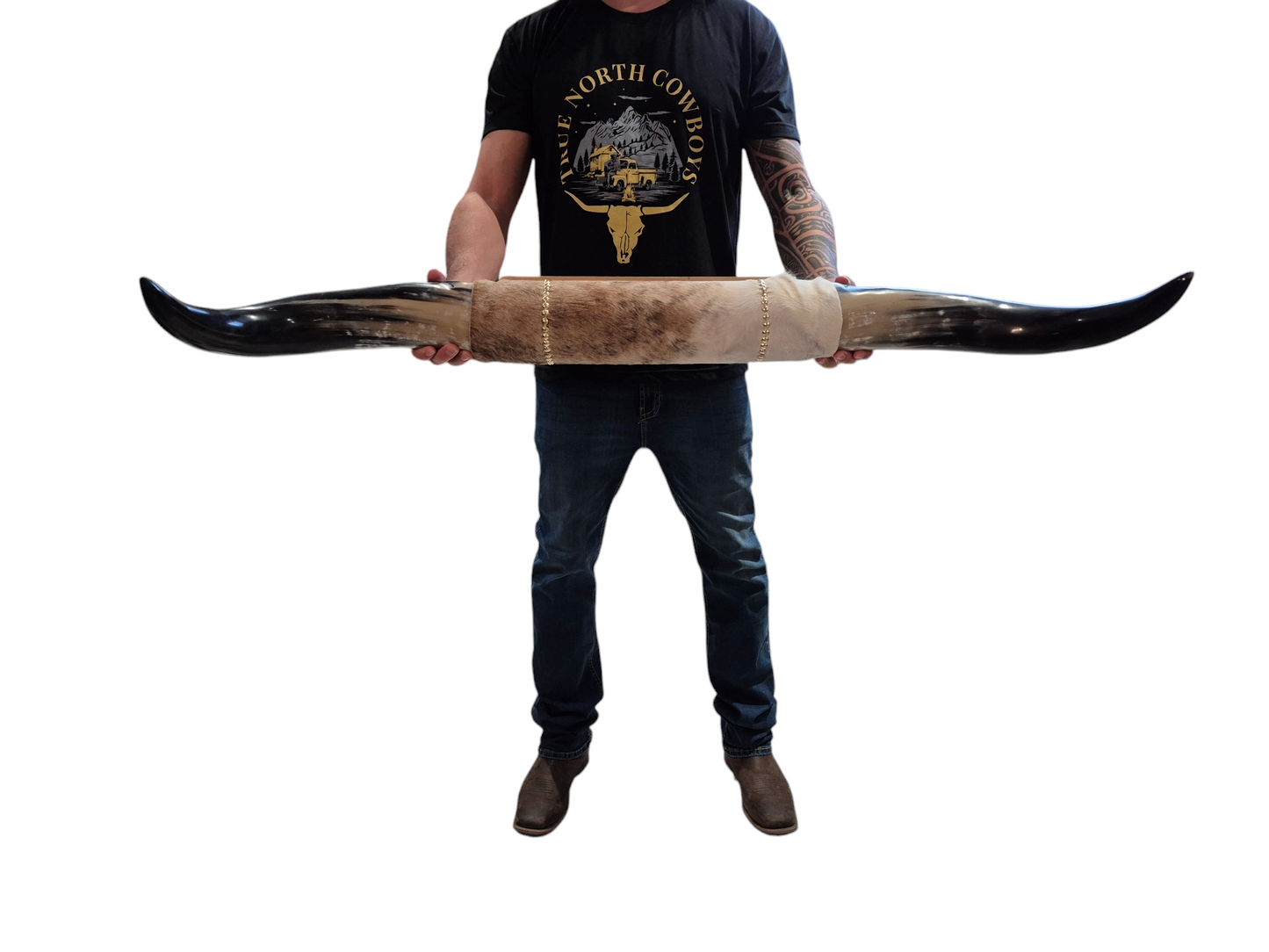 Mounted  Horns - Texas Longhorn (3'9") C#27