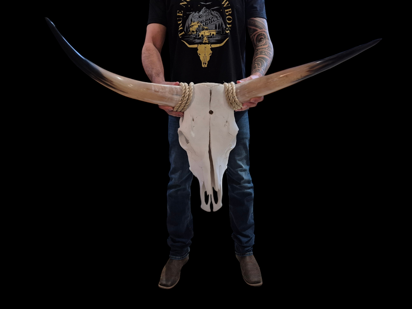 Cow Skull Texas Longhorn (2'8") A#39