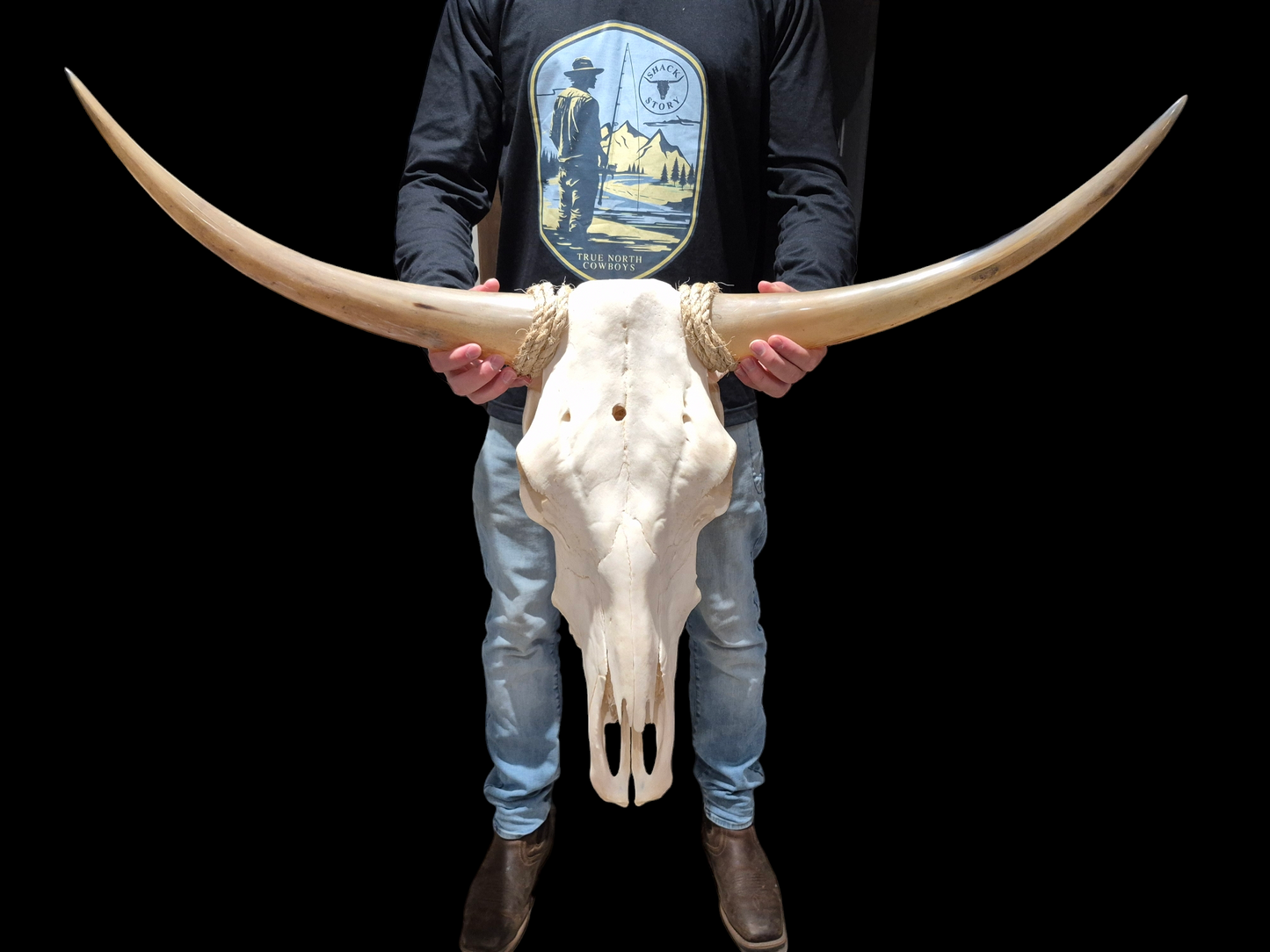 Cow Skull Texas Longhorn (3'1") A#71