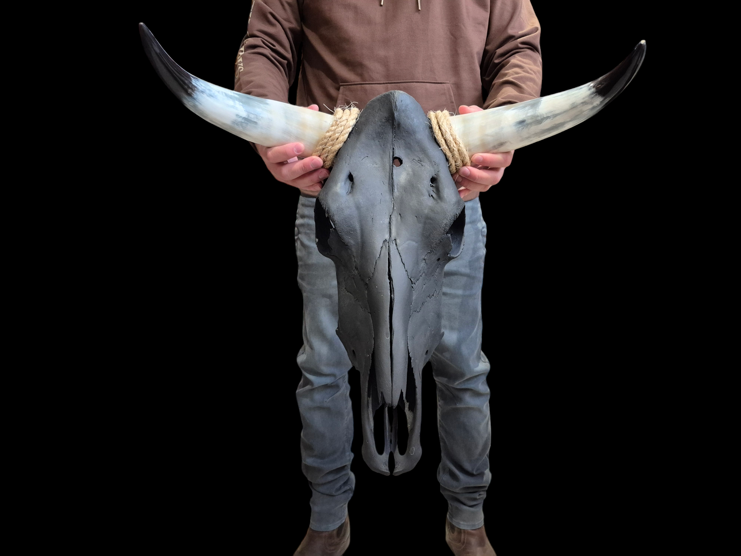 Cow Skull Texas Longhorn (1'10") A#75