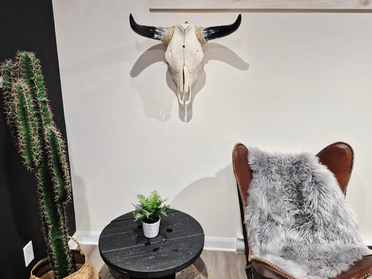 Cow Skull Texas Longhorn (1'10") A#75