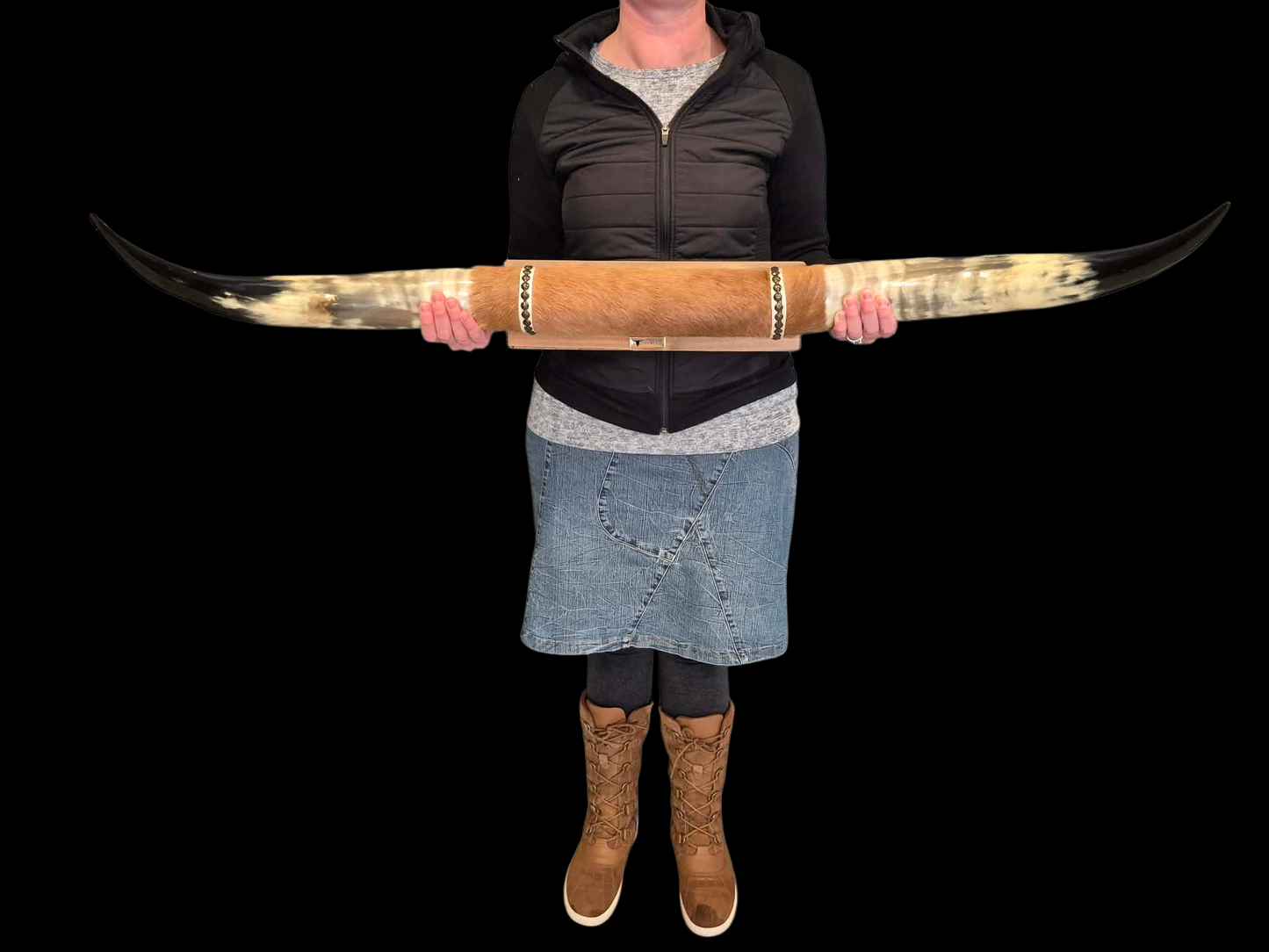 Mounted  Horns - Texas Longhorn (3'7") C#57