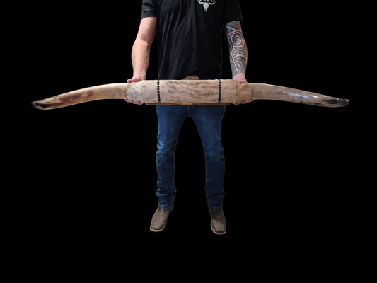 Mounted  Horns - Texas Longhorn (3'7") C#46