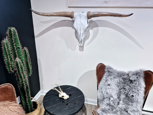 Cow Skull Texas Longhorn (3'9") A#91