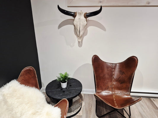 Crâne de vache Texas Longhorn (2'5") A#21