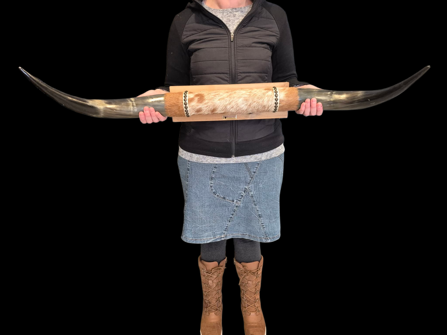 Mounted  Horns - Texas Longhorn (3'2") C#50