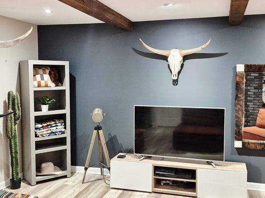 Cow Skull Texas Longhorn (2'3") A#80