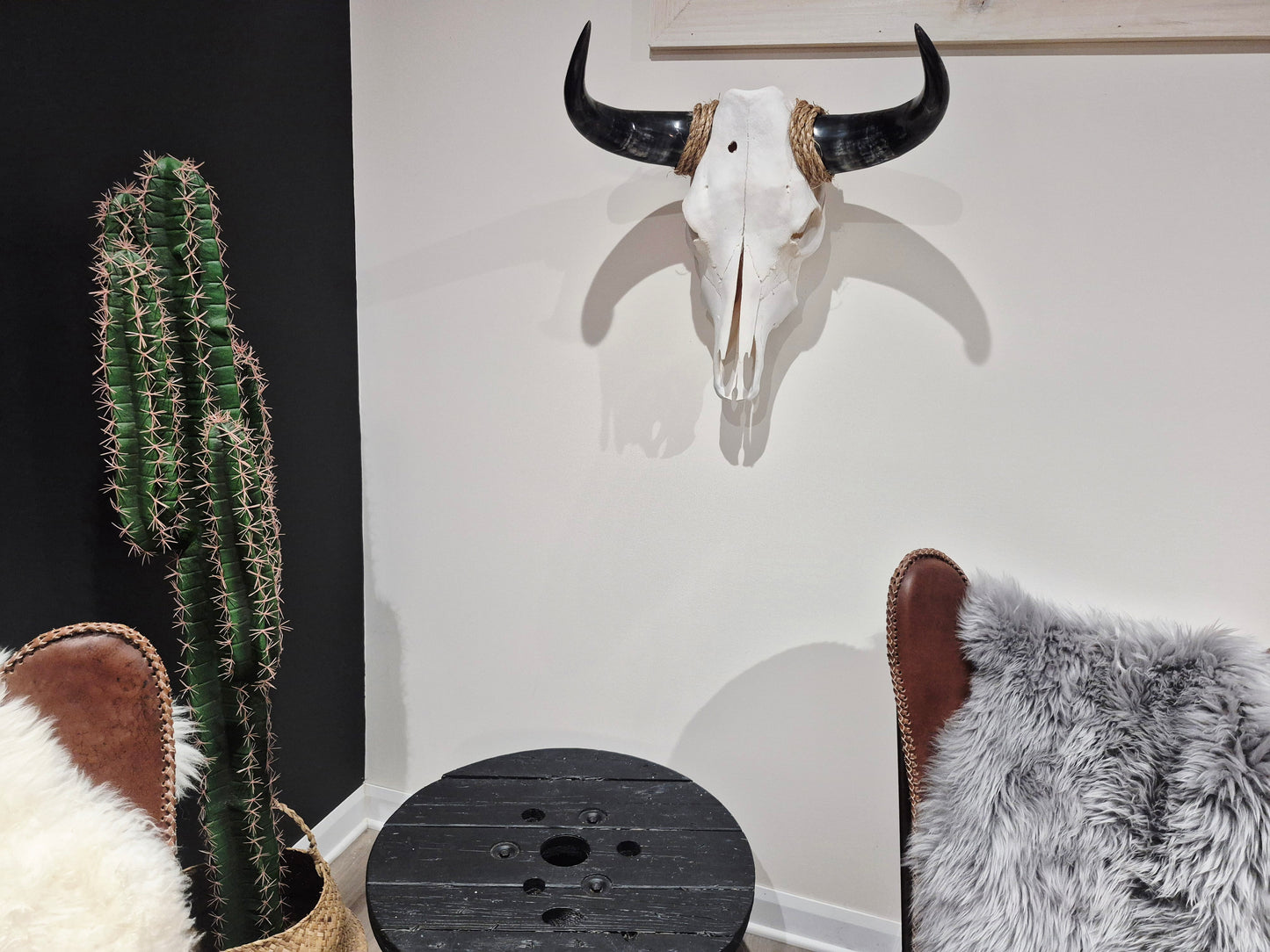 Cow Skull Texas Longhorn (1'7") A#77